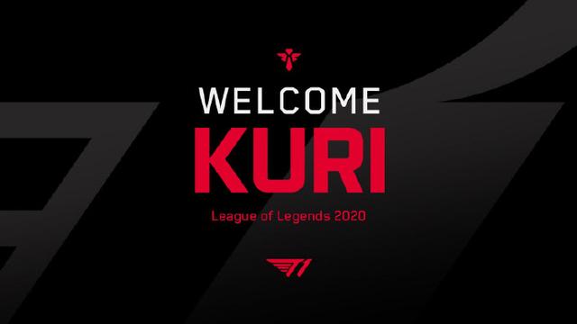 注的焦点 注的焦点